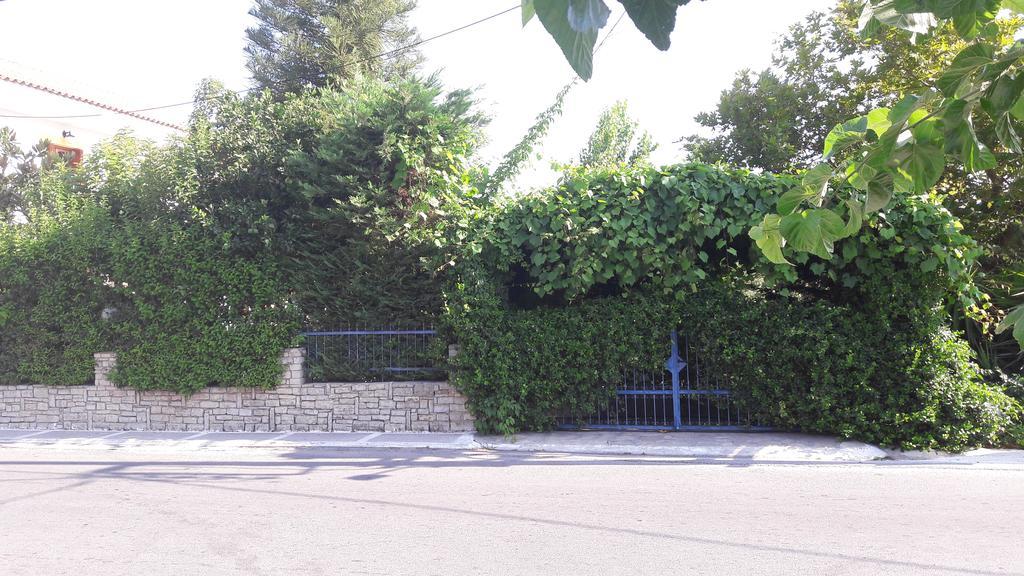Apartment Zafiria Agios Konstantinos (Samos)