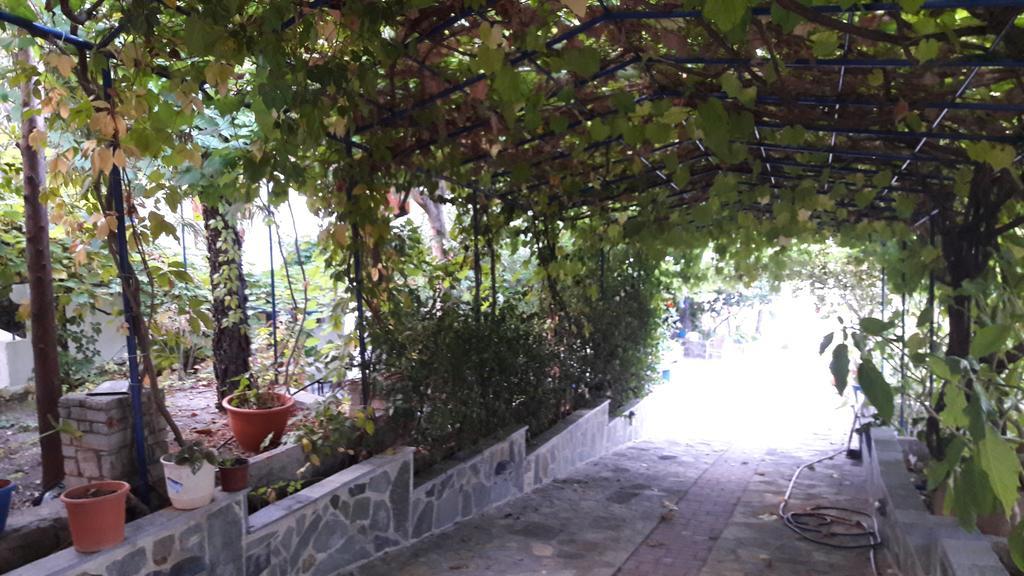 Zafiria Agios Konstantinos (Samos)