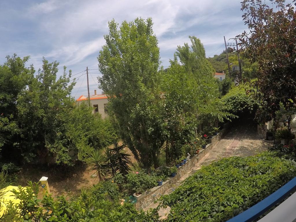 Zafiria Agios Konstantinos (Samos)