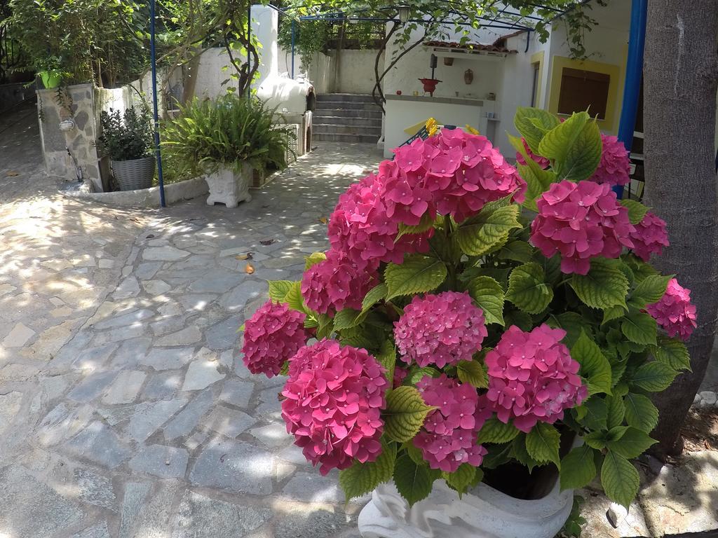 Zafiria Apartment